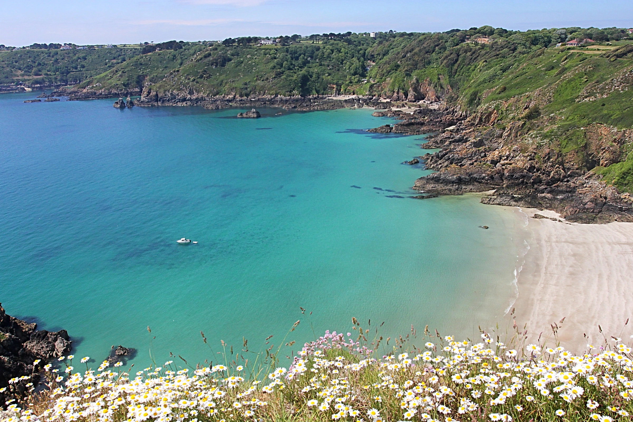 Herm[1].webp